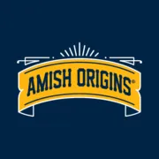 amish-origins.nl